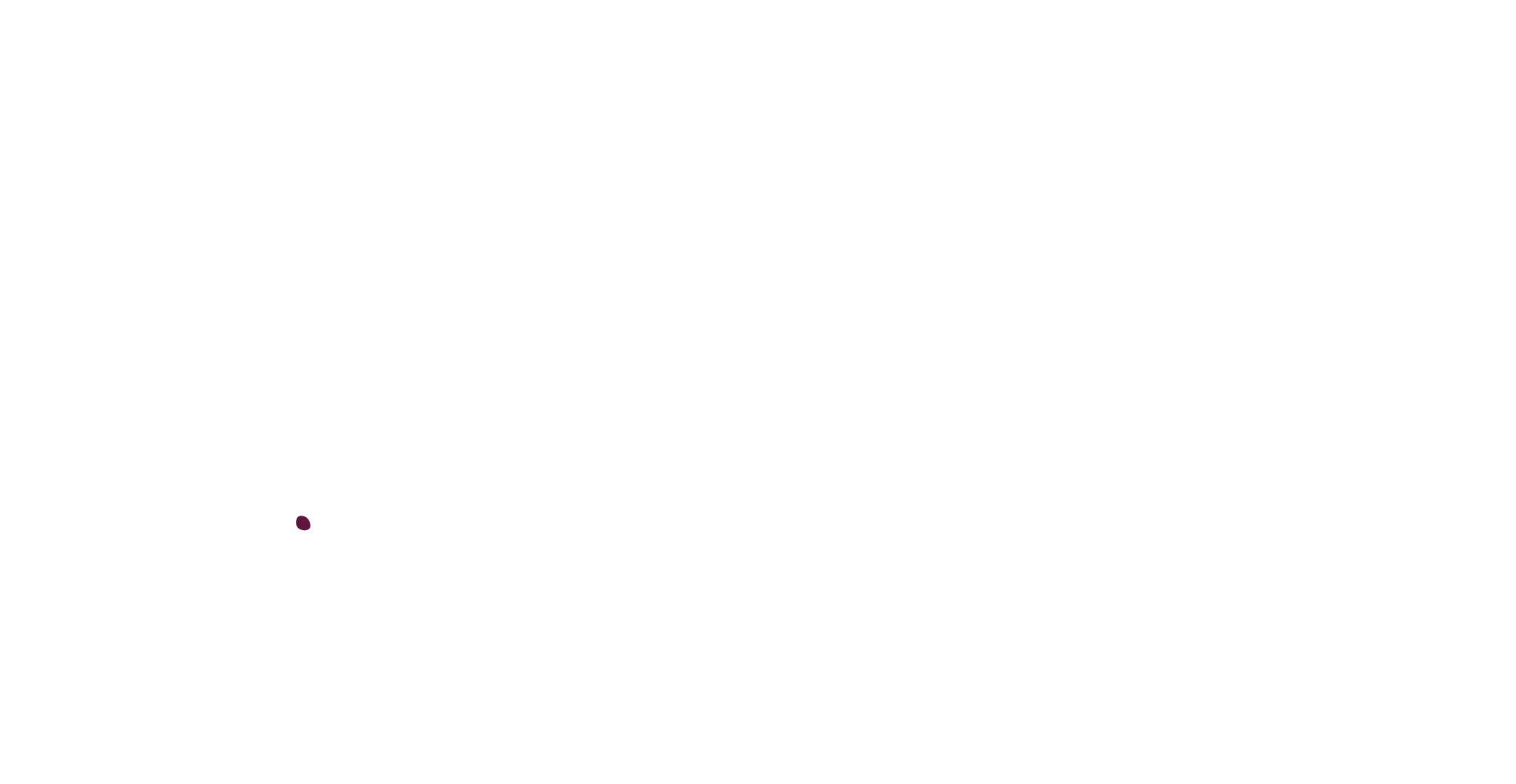 Zee Turkish Beauty